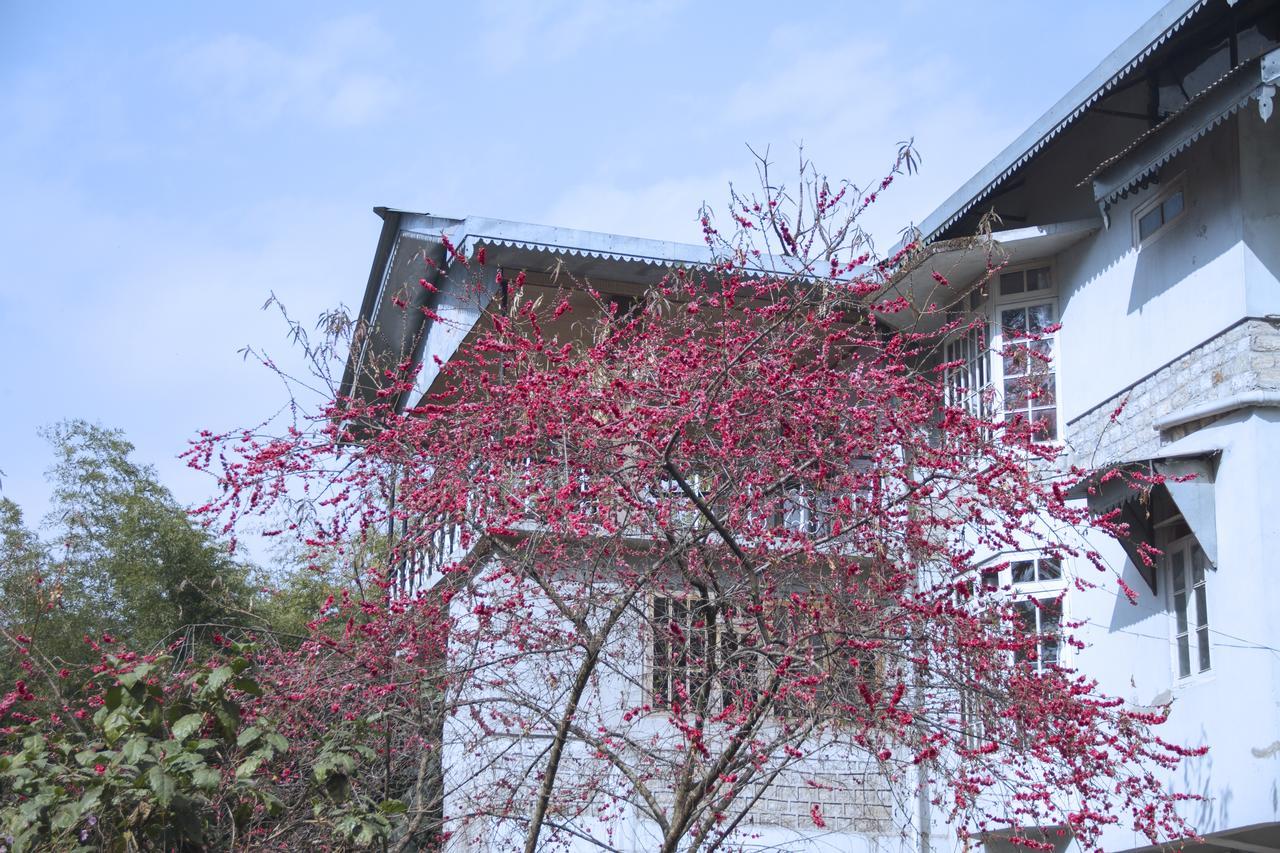 The Mazong Hotel Гангток Экстерьер фото